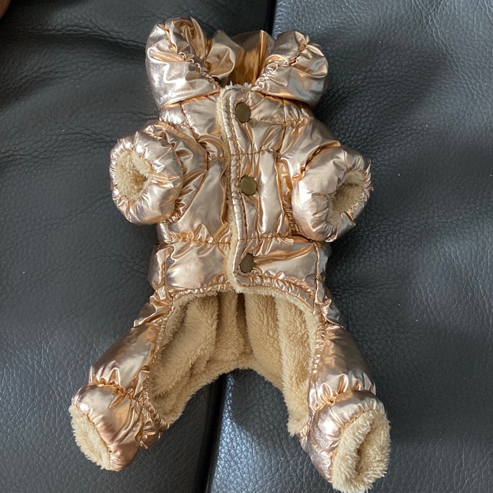 Dog’s Jacket! ✨ - Picture 2 of 3